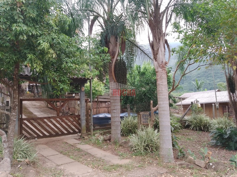 LINDO SITIO EM TRÊS PINHEIROS ITATI RS!: 2ª foto da galeria de imagens do imóvel