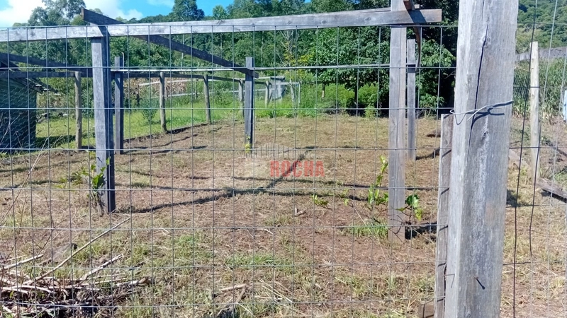 LINDO SITIO EM TRÊS PINHEIROS ITATI RS!: 22ª foto da galeria de imagens do imóvel