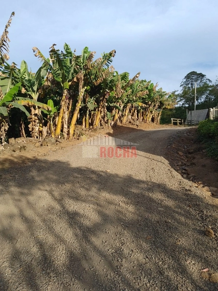 LINDO SITIO EM TRÊS PINHEIROS ITATI RS!: 6ª foto da galeria de imagens do imóvel
