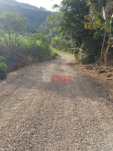 LINDO SITIO EM TRÊS PINHEIROS ITATI RS!: 7ª foto da galeria de imagens do imóvel