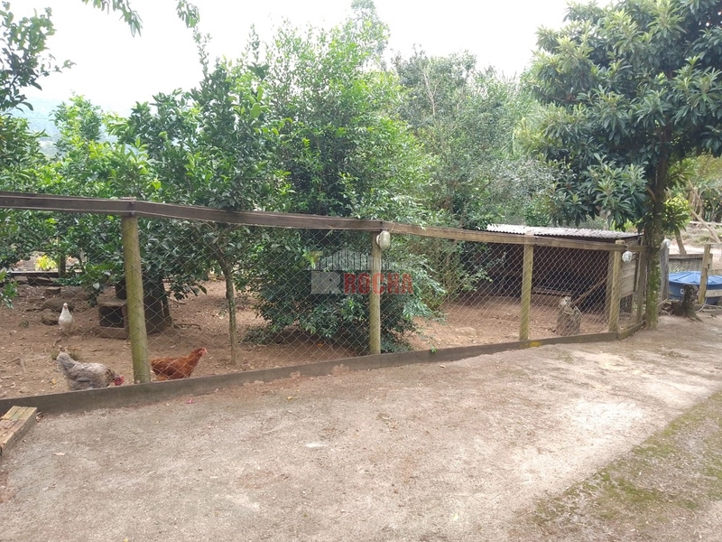 LINDO SITIO EM TRÊS PINHEIROS ITATI RS!: 4ª foto da galeria de imagens do imóvel