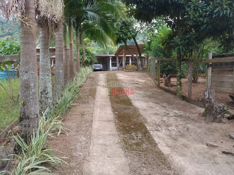 LINDO SITIO EM TRÊS PINHEIROS ITATI RS!: 5ª foto da galeria de imagens do imóvel