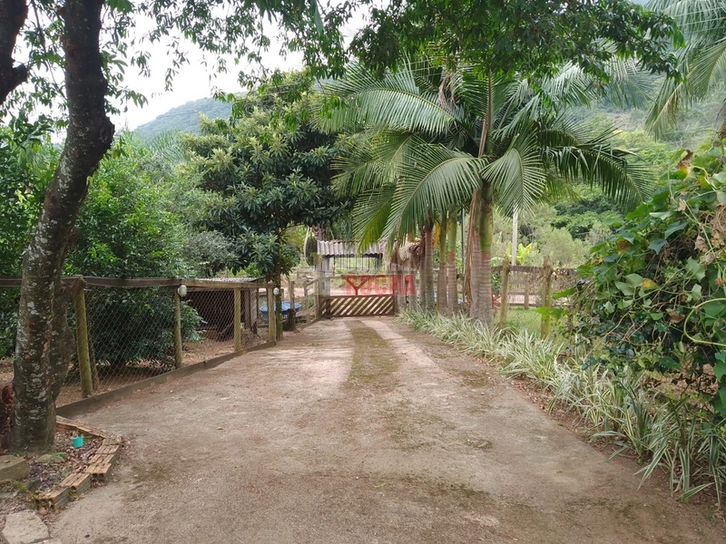 LINDO SITIO EM TRÊS PINHEIROS ITATI RS!: 3ª foto da galeria de imagens do imóvel