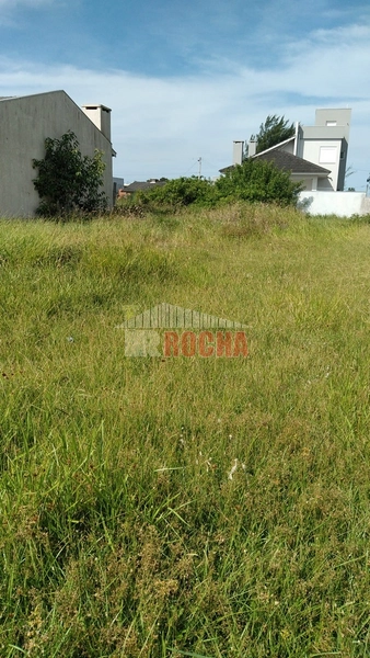 TERRENO PRÓXIMO DO MAR EM PRAIA ARROIO TEIXEIRA!: 3ª foto da galeria de imagens do imóvel