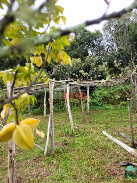 LINDO SITIO  COM PISCINA EM SANTO ANTÔNIO DA PATRULHA GF XVRS!: 19ª foto da galeria de imagens do imóvel