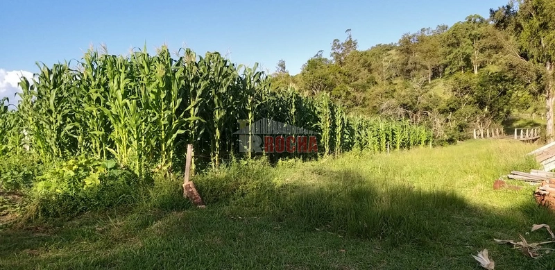 LINDO SITIO  COM PISCINA EM SANTO ANTÔNIO DA PATRULHA GF XVRS!: 16ª foto da galeria de imagens do imóvel