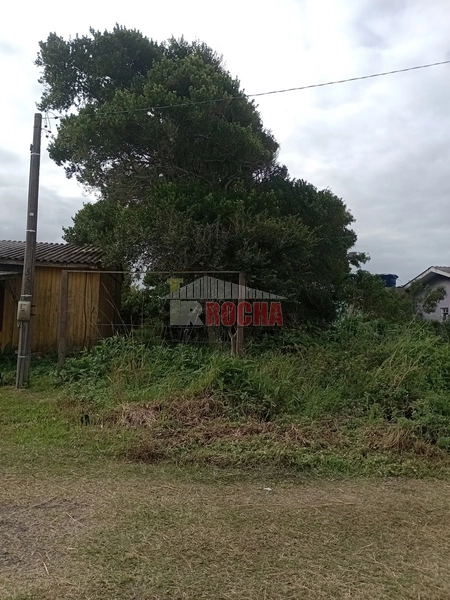EXCLUSIVIDADE! TERRENO BEM LOCALIZADO EM PRAIA ARROIO TEIXEIRA!