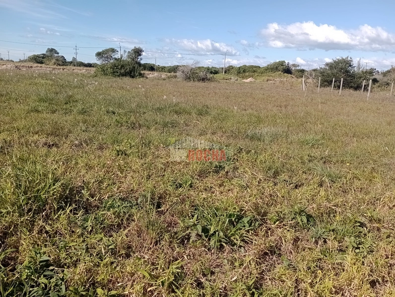 TERRENO A POUCOS METROS DO MAR EM PRAIA NOVO CURUMIM!!: 1ª foto da galeria de imagens do imóvel
