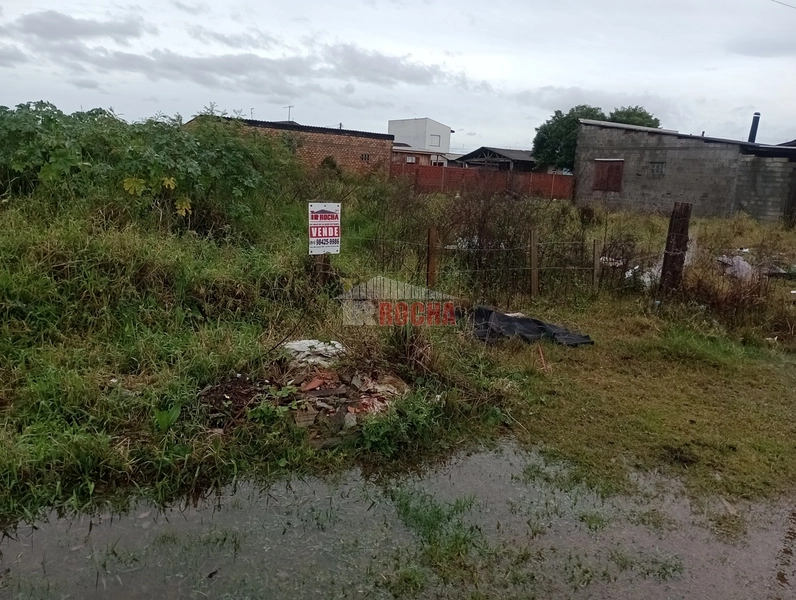 TERRENO EM PRAIA CURUMIM!: 3ª foto da galeria de imagens do imóvel