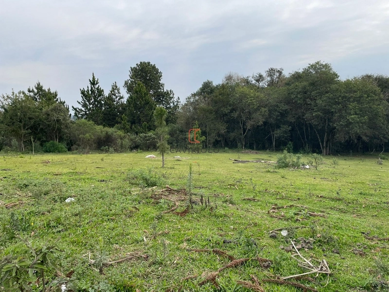 Área 12.900m2 na Br-376 a venda em São José dos Pinhais: 11ª foto da galeria de imagens do imóvel