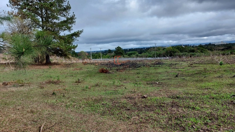 Área 12.900m2 na Br-376 a venda em São José dos Pinhais: 9ª foto da galeria de imagens do imóvel