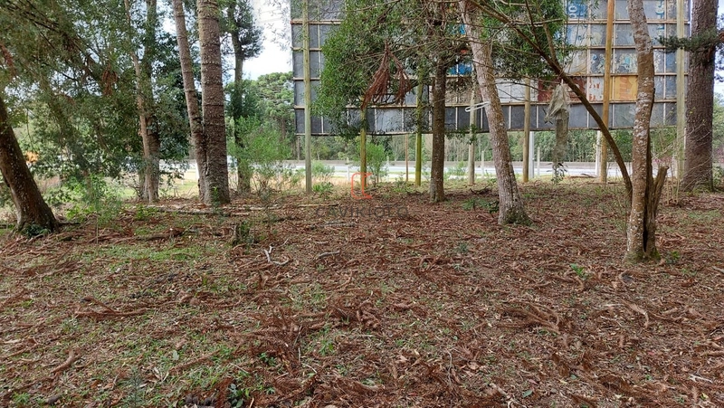 Área 12.900m2 na Br-376 a venda em São José dos Pinhais: 7ª foto da galeria de imagens do imóvel
