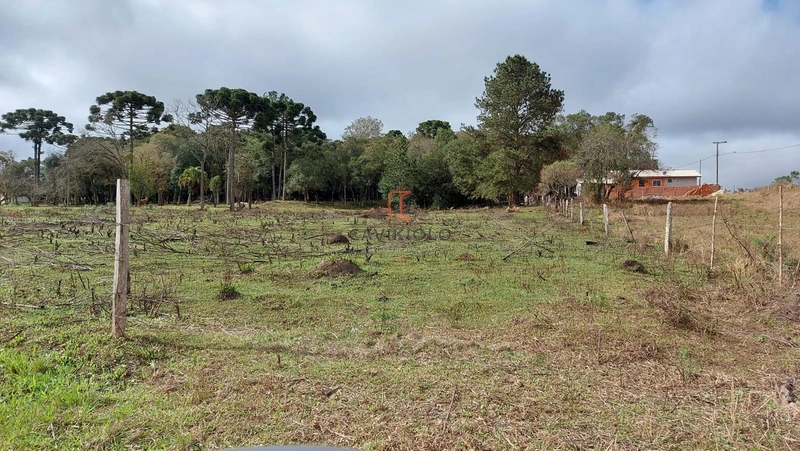 Área 12.900m2 na Br-376 a venda em São José dos Pinhais: 8ª foto da galeria de imagens do imóvel