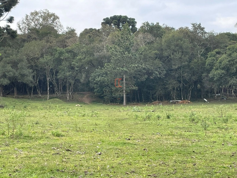 Área 12.900m2 na Br-376 a venda em São José dos Pinhais: 10ª foto da galeria de imagens do imóvel
