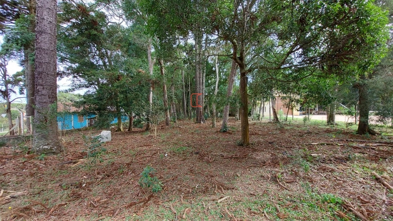 Área 12.900m2 na Br-376 a venda em São José dos Pinhais: 6ª foto da galeria de imagens do imóvel