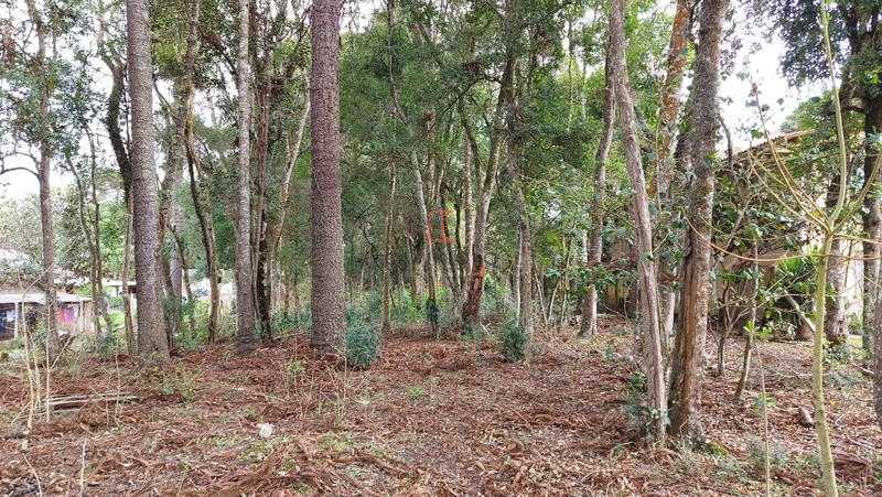 Área 12.900m2 na Br-376 a venda em São José dos Pinhais: 4ª foto da galeria de imagens do imóvel