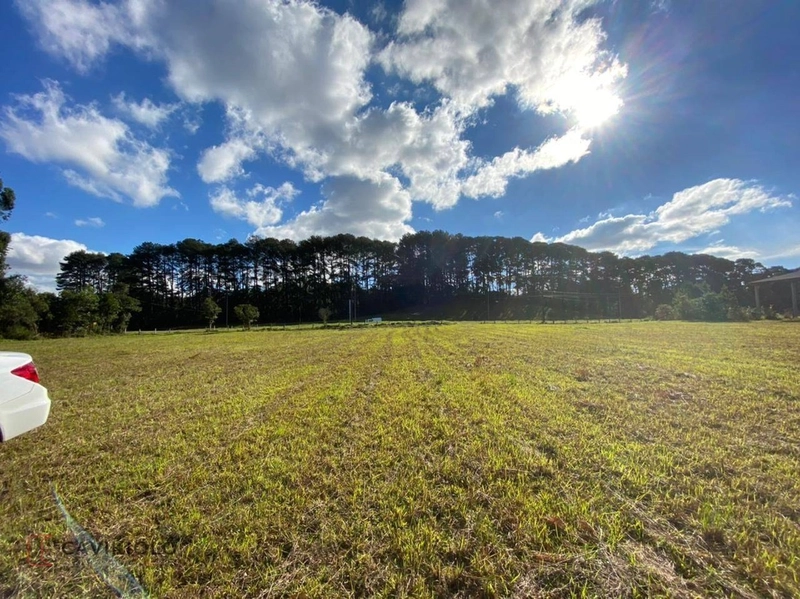 Área com 41.600m2 a venda de frente para a BR-116 41.600m² Tatuquara: 1ª foto da galeria de imagens do imóvel