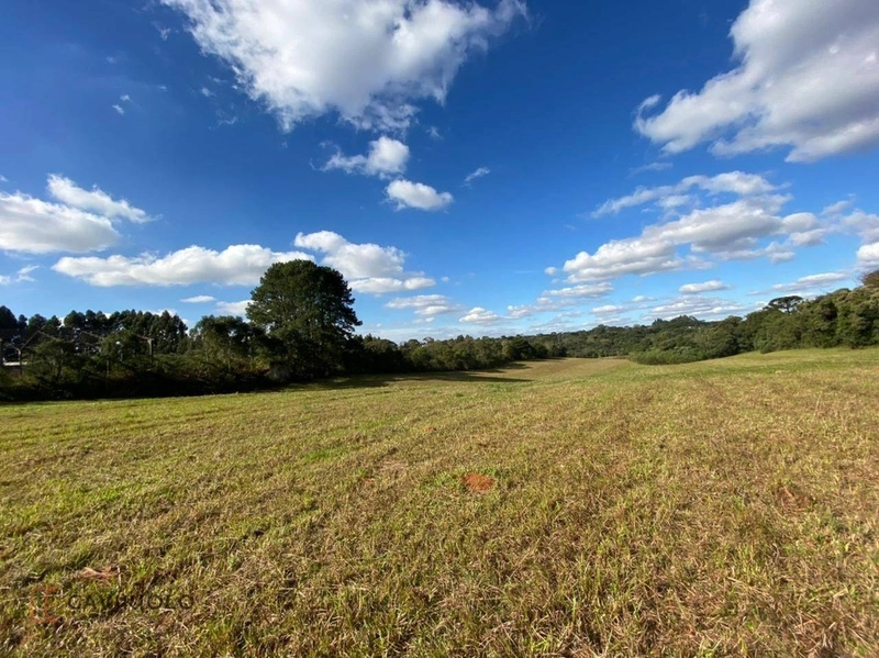 Área com 41.600m2 a venda de frente para a BR-116 41.600m² Tatuquara: 5ª foto da galeria de imagens do imóvel