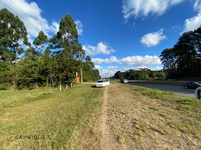 Área com 41.600m2 a venda de frente para a BR-116 41.600m² Tatuquara: 11ª foto da galeria de imagens do imóvel