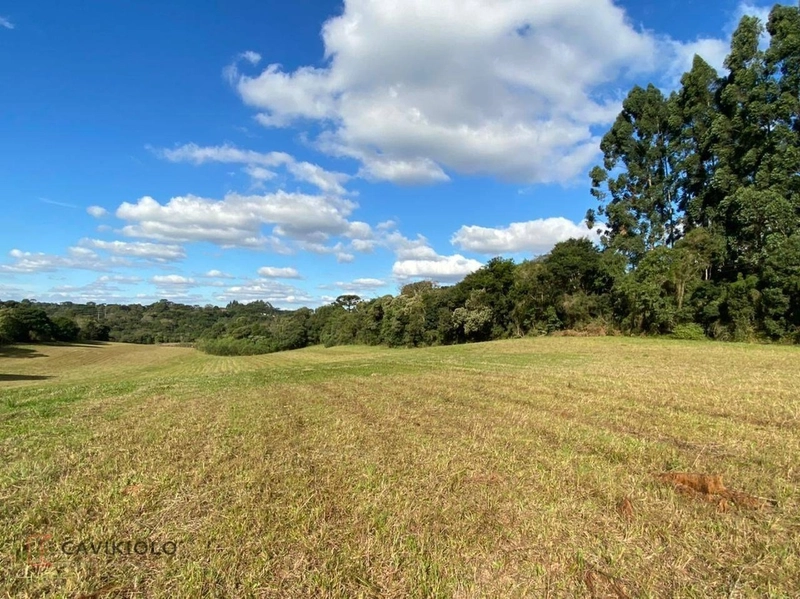 Área com 41.600m2 a venda de frente para a BR-116 41.600m² Tatuquara: 9ª foto da galeria de imagens do imóvel