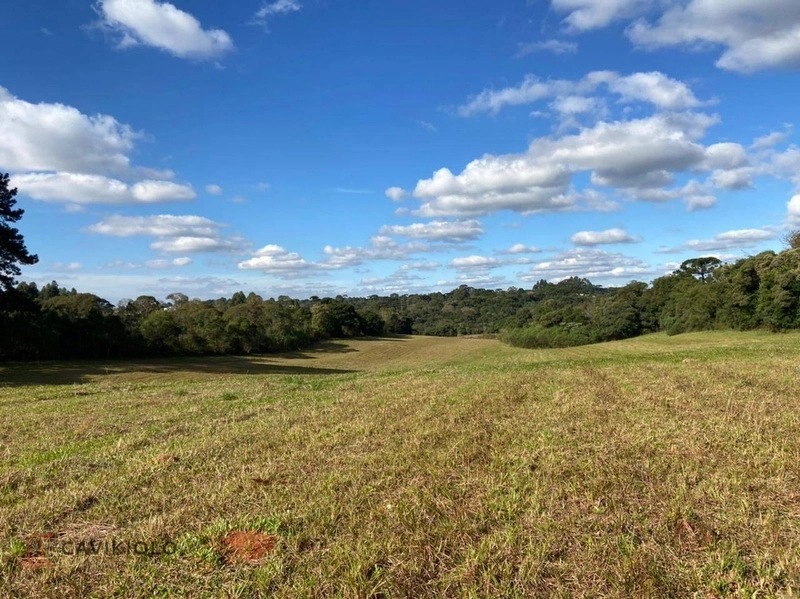 Área com 41.600m2 a venda de frente para a BR-116 41.600m² Tatuquara: 4ª foto da galeria de imagens do imóvel