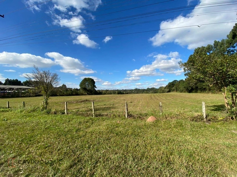 Área com 41.600m2 a venda de frente para a BR-116 41.600m² Tatuquara: 2ª foto da galeria de imagens do imóvel