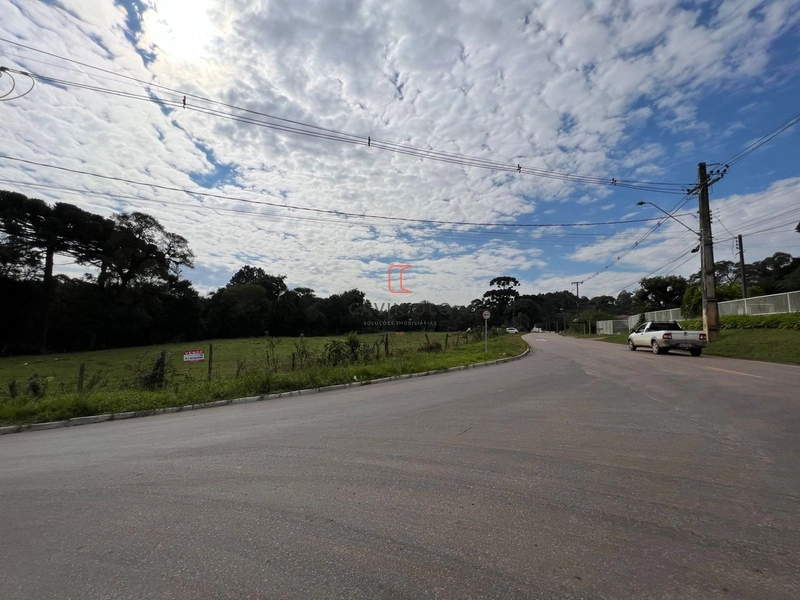 Área 42.000m2 a venda no Ganchinho em Curitiba: 6ª foto da galeria de imagens do imóvel