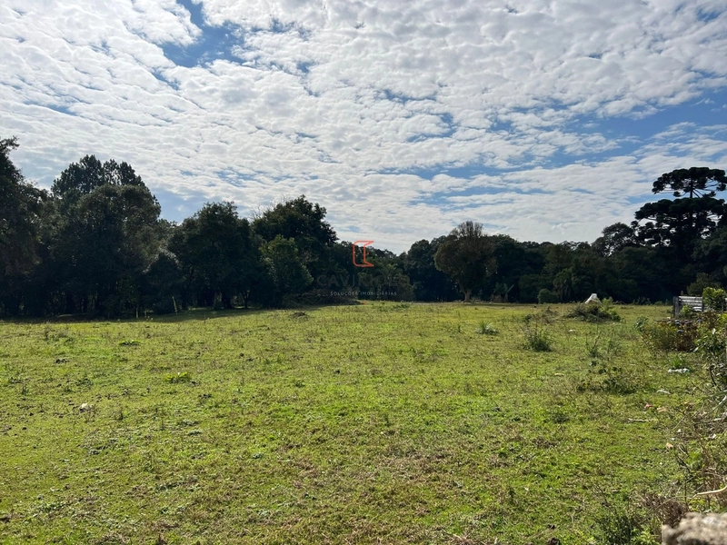 Área 42.000m2 a venda no Ganchinho em Curitiba: 3ª foto da galeria de imagens do imóvel