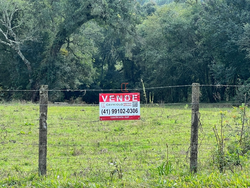Área 42.000m2 a venda no Ganchinho em Curitiba: 7ª foto da galeria de imagens do imóvel