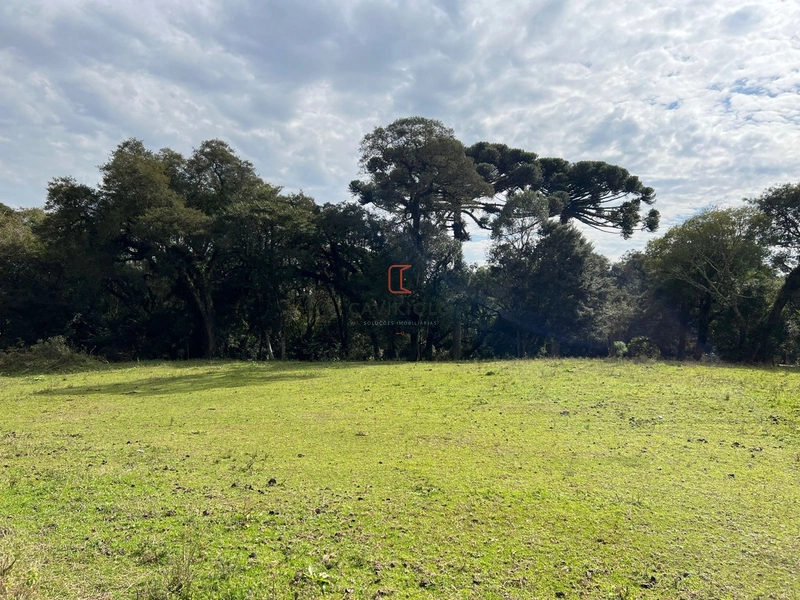 Área 42.000m2 a venda no Ganchinho em Curitiba: 4ª foto da galeria de imagens do imóvel