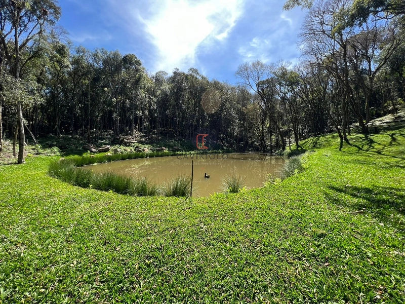 Chacara com 13.543m2 em São José dos Pinhais: 9ª foto da galeria de imagens do imóvel