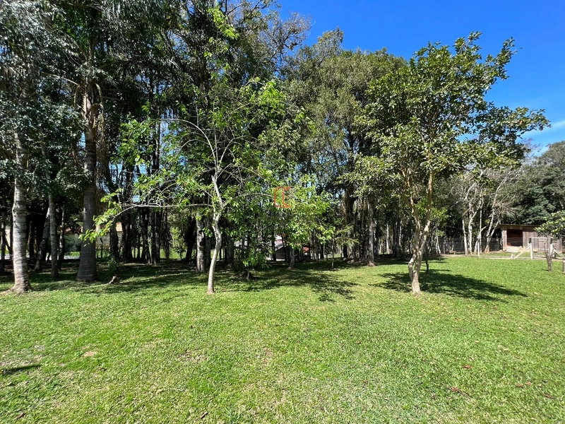 Chacara com 13.543m2 em São José dos Pinhais: 32ª foto da galeria de imagens do imóvel