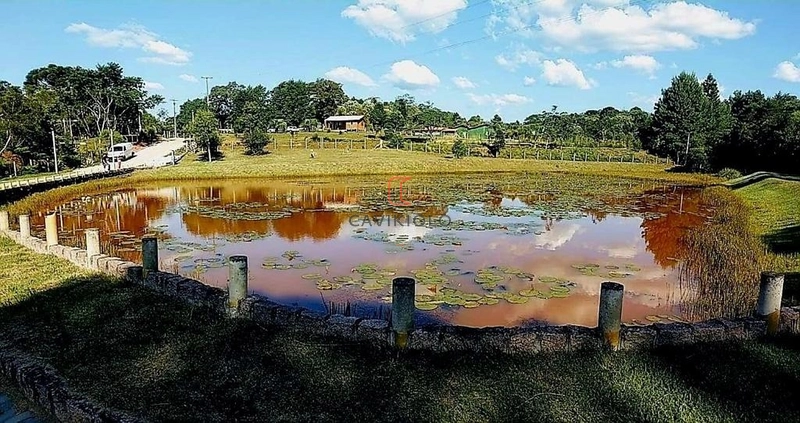 Chacara com 13.543m2 em São José dos Pinhais: 4ª foto da galeria de imagens do imóvel