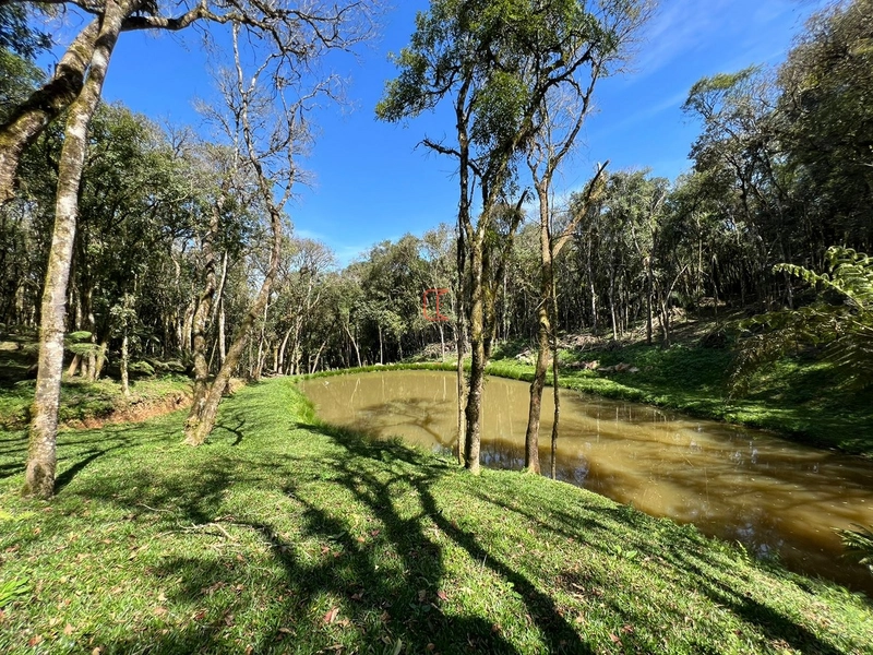 Chacara com 13.543m2 em São José dos Pinhais: 37ª foto da galeria de imagens do imóvel