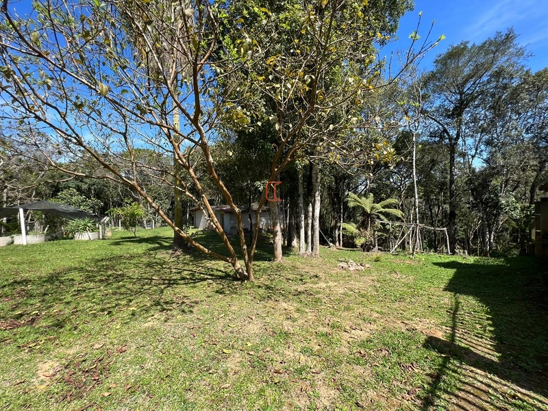 Chacara com 13.543m2 em São José dos Pinhais: 35ª foto da galeria de imagens do imóvel