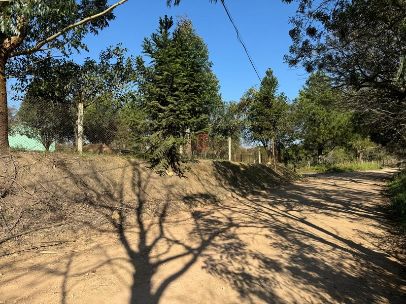 Chacara com 49.000m2 a venda no Passo Amarelo: 4ª foto da galeria de imagens do imóvel