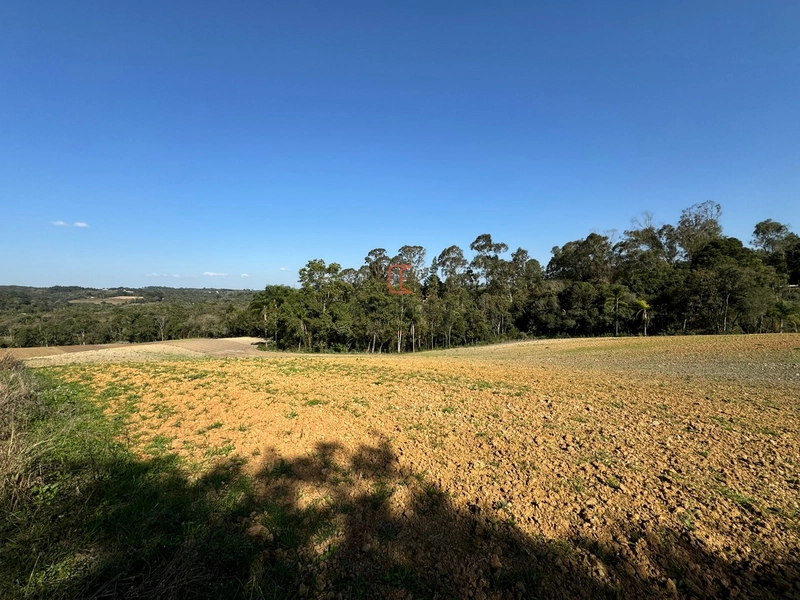 Chacara com 49.000m2 a venda no Passo Amarelo: 11ª foto da galeria de imagens do imóvel