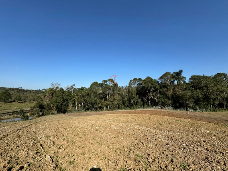 Chacara com 49.000m2 a venda no Passo Amarelo: 19ª foto da galeria de imagens do imóvel