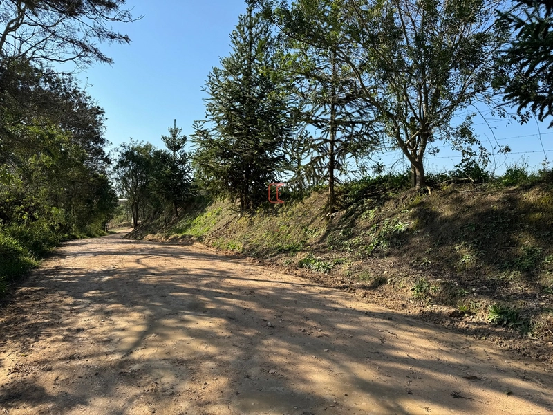 Chacara com 49.000m2 a venda no Passo Amarelo: 2ª foto da galeria de imagens do imóvel