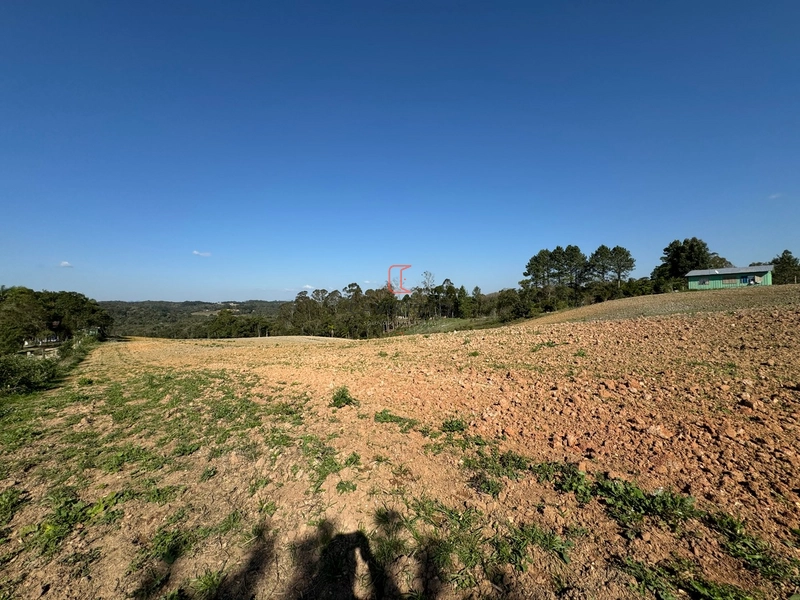 Chacara com 49.000m2 a venda no Passo Amarelo: 10ª foto da galeria de imagens do imóvel