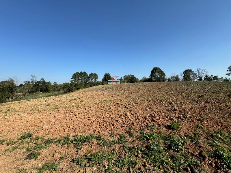 Chacara com 49.000m2 a venda no Passo Amarelo: 9ª foto da galeria de imagens do imóvel