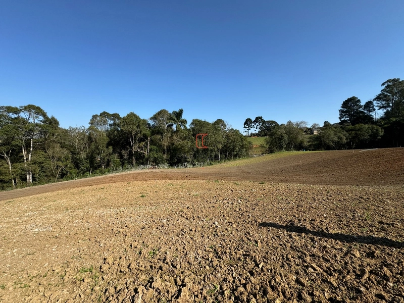 Chacara com 49.000m2 a venda no Passo Amarelo: 18ª foto da galeria de imagens do imóvel