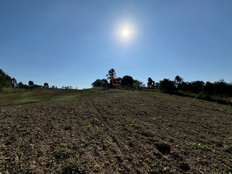 Chacara com 49.000m2 a venda no Passo Amarelo: 16ª foto da galeria de imagens do imóvel