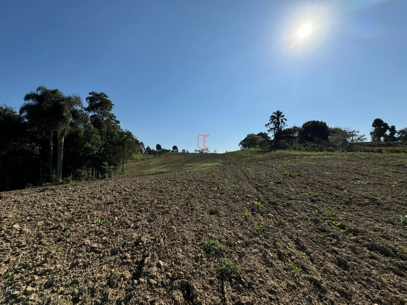 Chacara com 49.000m2 a venda no Passo Amarelo: 17ª foto da galeria de imagens do imóvel