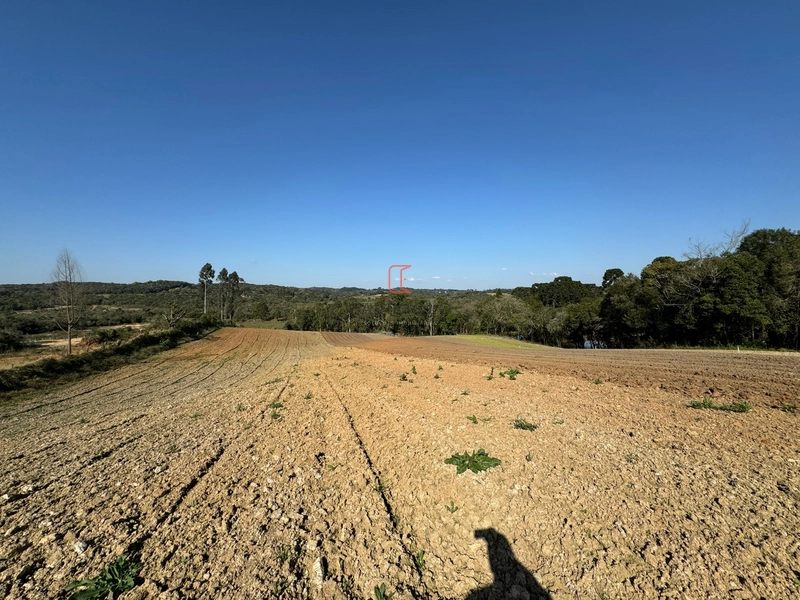 Chacara com 49.000m2 a venda no Passo Amarelo: 15ª foto da galeria de imagens do imóvel