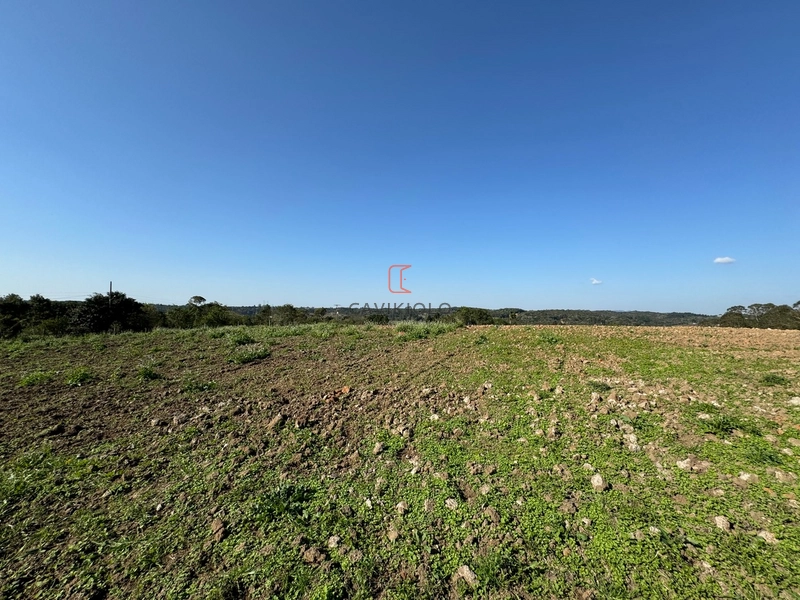 Chacara com 49.000m2 a venda no Passo Amarelo: 6ª foto da galeria de imagens do imóvel