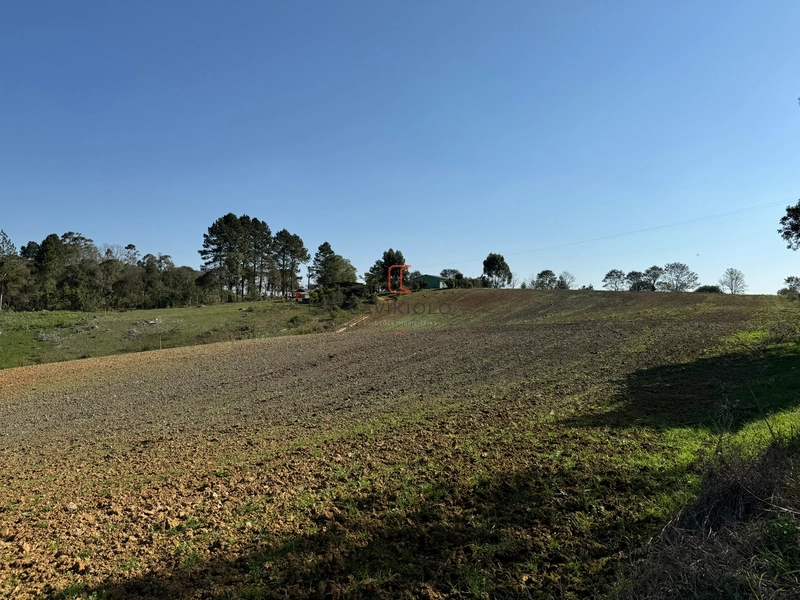 Chacara com 49.000m2 a venda no Passo Amarelo: 13ª foto da galeria de imagens do imóvel