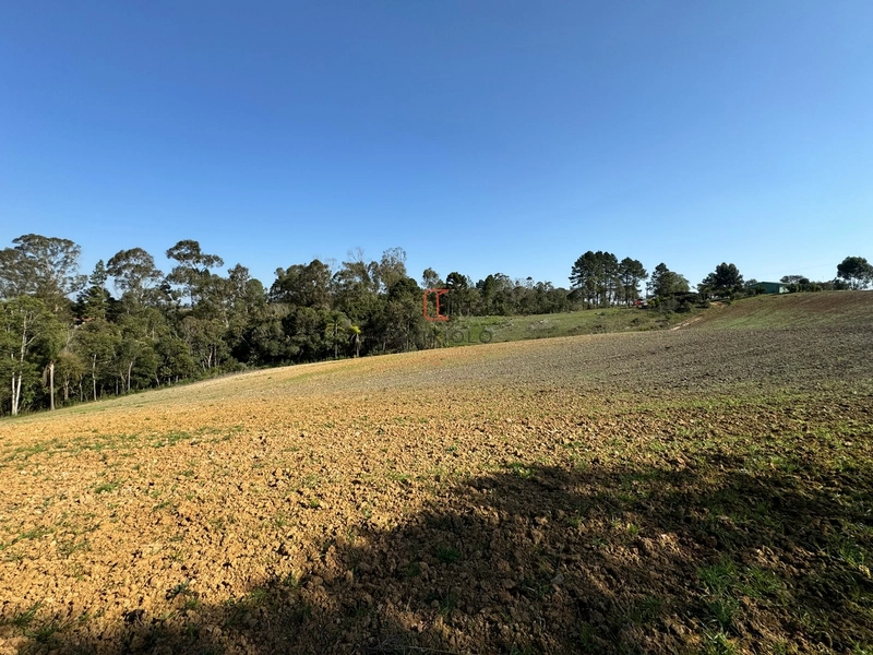 Chacara com 49.000m2 a venda no Passo Amarelo: 12ª foto da galeria de imagens do imóvel