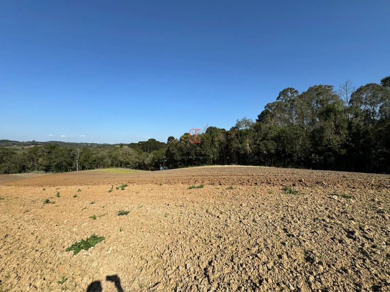 Chacara com 49.000m2 a venda no Passo Amarelo: 14ª foto da galeria de imagens do imóvel