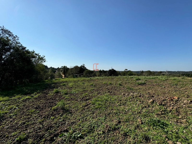 Chacara com 49.000m2 a venda no Passo Amarelo: 5ª foto da galeria de imagens do imóvel